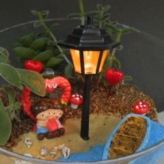 Romantik Sahil Temalı Teraryum – Sevgi Dolu Bir Dünyaya Yolculuk!