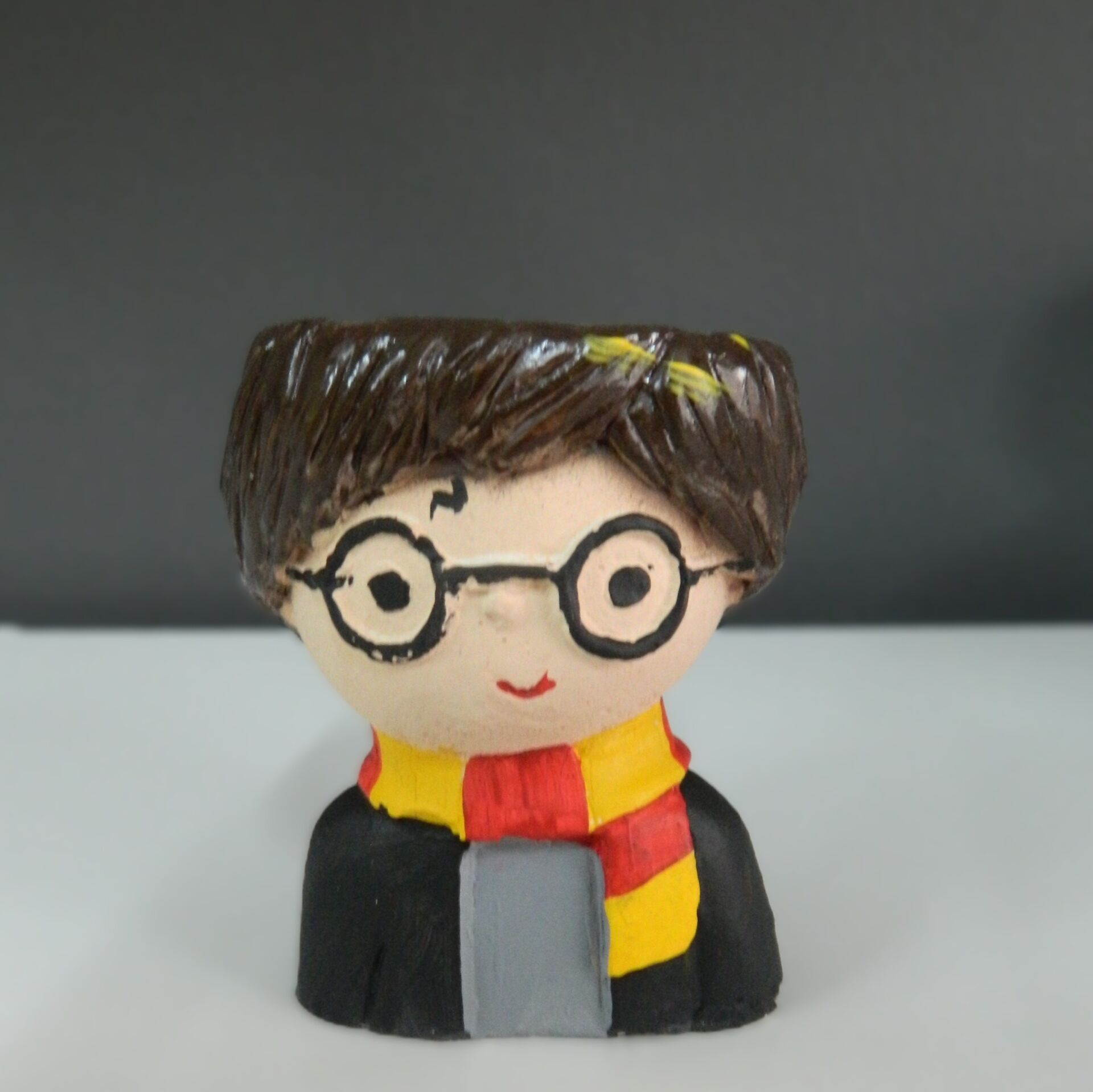 Harry Potter Saksı – Sihirli Bir Dokunuş!