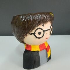 Harry Potter Saksı – Sihirli Bir Dokunuş!