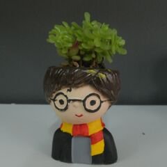 Harry Potter Saksı – Sihirli Bir Dokunuş!
