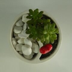 Yin Yang Saksı – Denge ve Estetik Bir Arada!