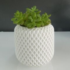 Modern Desenli Saksı – Şıklık ve Minimalizm Bir Arada!