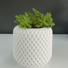 Modern Desenli Saksı – Şıklık ve Minimalizm Bir Arada!